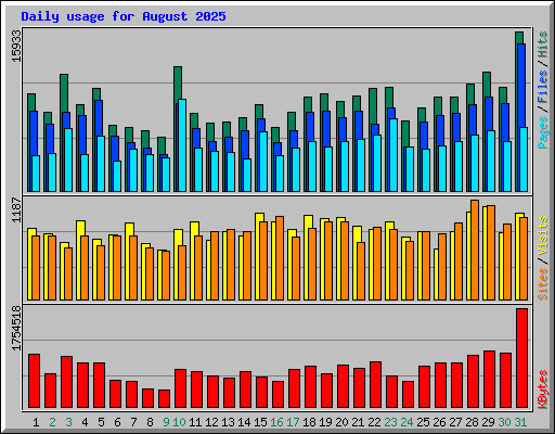 Daily usage for August 2025