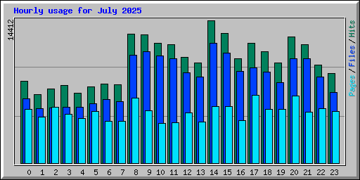 Hourly usage for July 2025