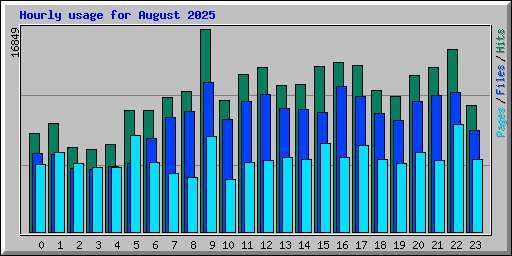 Hourly usage for August 2025