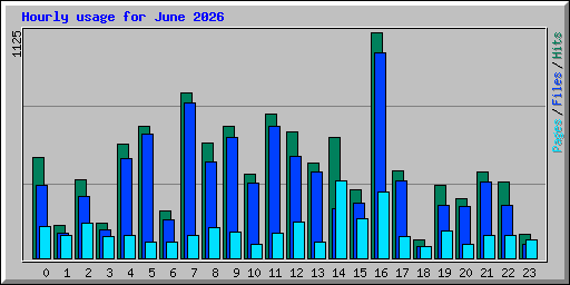 Hourly usage for June 2026