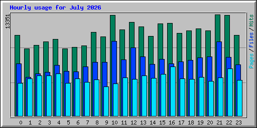 Hourly usage for July 2026